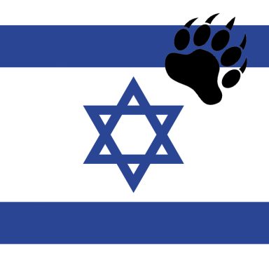 ISRAELI BEARS - ISRAEL