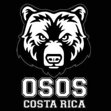 OSOS DE COSTA RICA - COSTA RICA